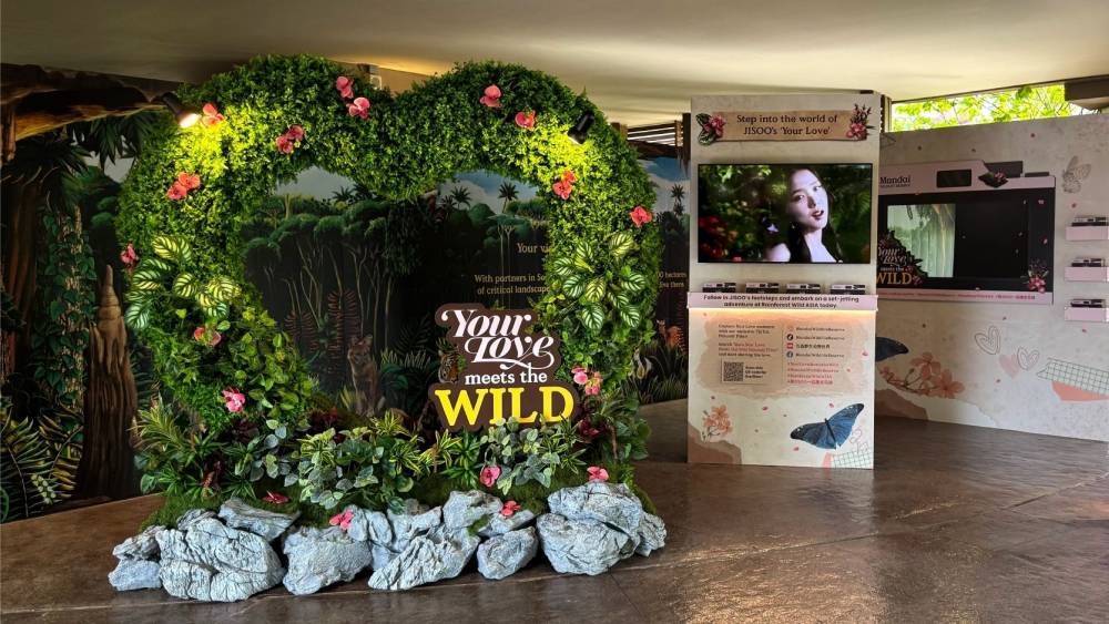 Your Love Meets the Wild Check In Zone