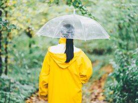 Weatherproof your visit