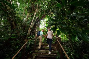 フォレスト・トレック