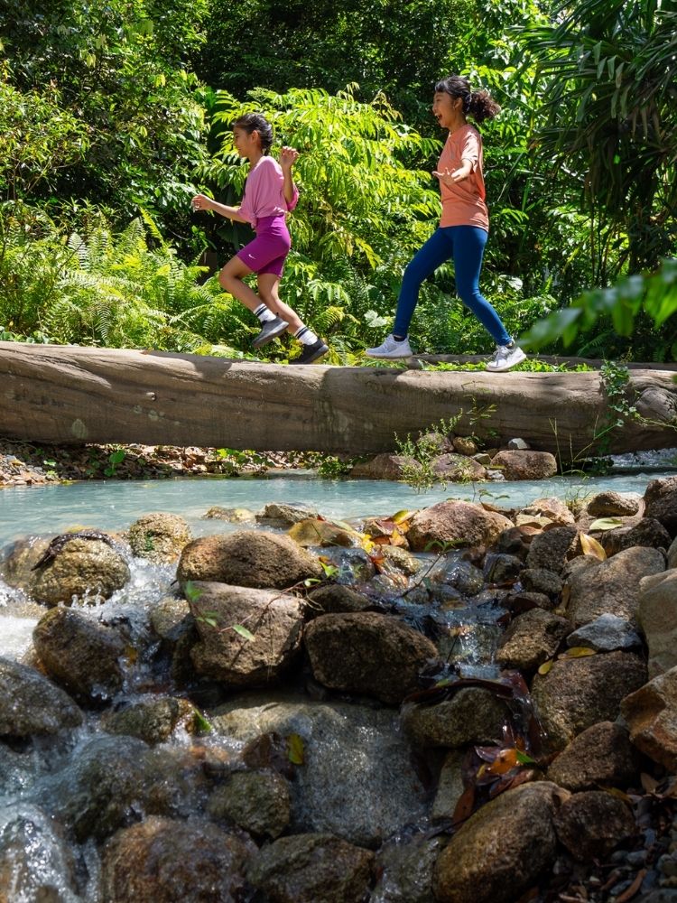 숲길 트레킹, 고가 산책로와 교차하는 이 모험적인 산책로는 여러분을 열대우림 더 깊은 곳으로 안내합니다.