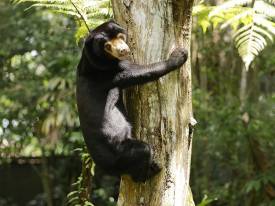 携带望远镜，发现更多精彩