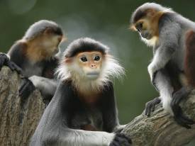 穿着舒适，轻松出行