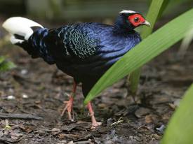 遵循指定路径，守护自然之美