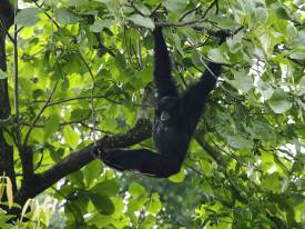 随身携带轻便必需品