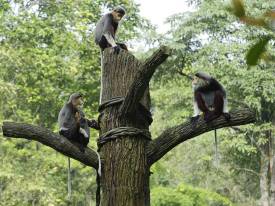 规划您的探险之旅