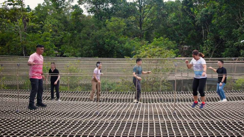 people jumping on net