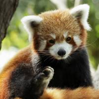 River Wonders Itineraries