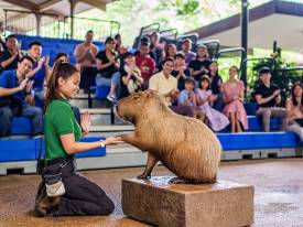 Book Presentation Seats