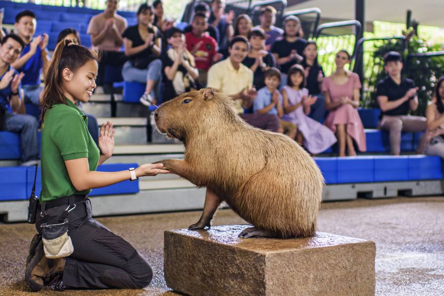 Image for Once Upon a River