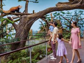 Children must be supervised