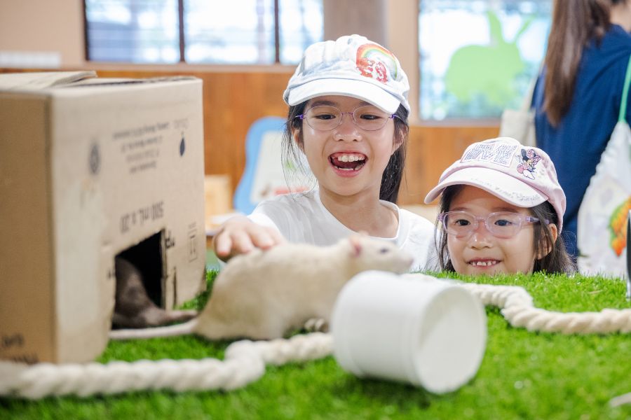 /content/dam/mandai/singapore-zoo/animals-zones/kidzworld/kidzworld-little-paws-900x600.jpg