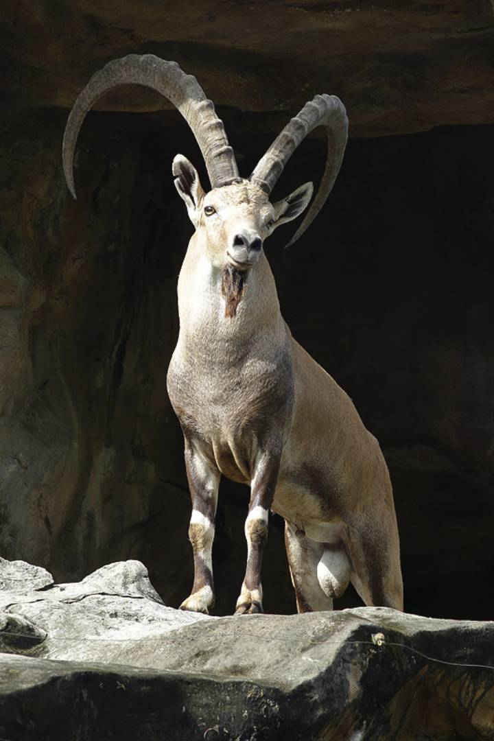 埃塞俄比亚大裂谷