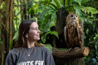 Meet Our Wildlife Ambassadors