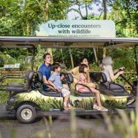 Wildlife Experiences