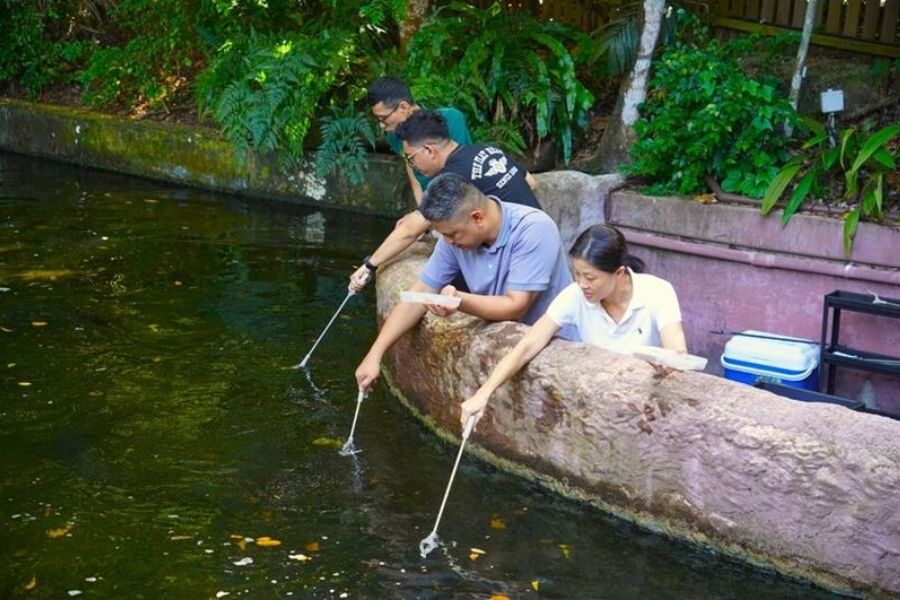 River Giants Feeding