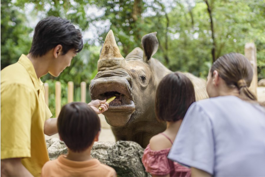 /content/dam/mandai/singapore-zoo/things-to-do/white-rhino-feeding-900x600.jpg