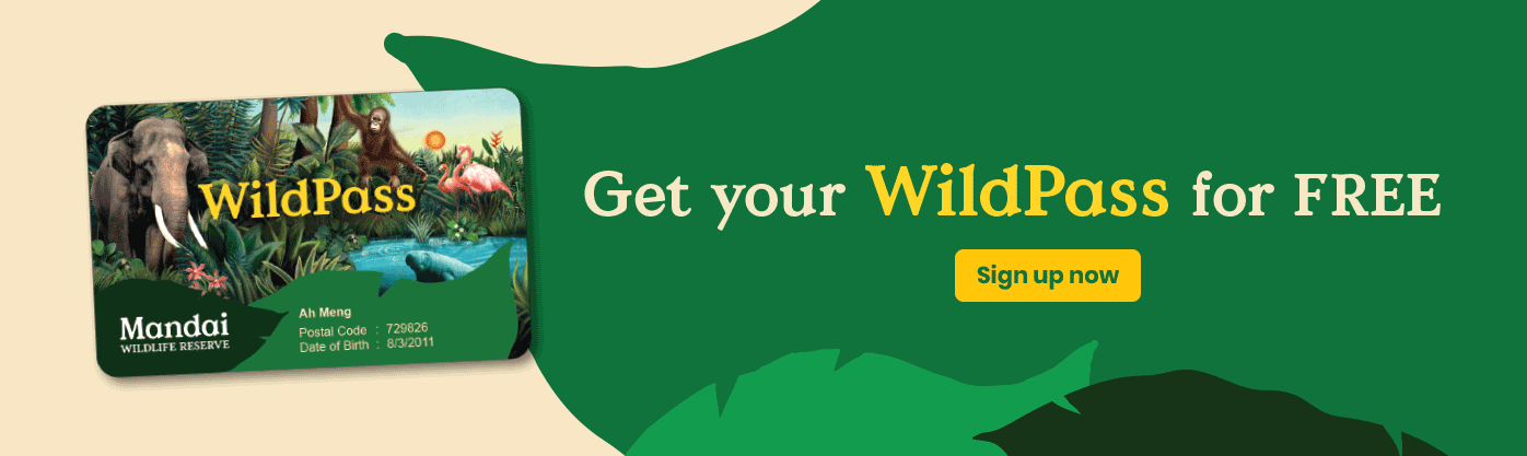 wildpass-banner