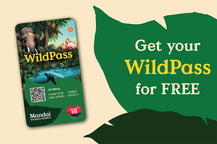 Get your WildPass for FREE!