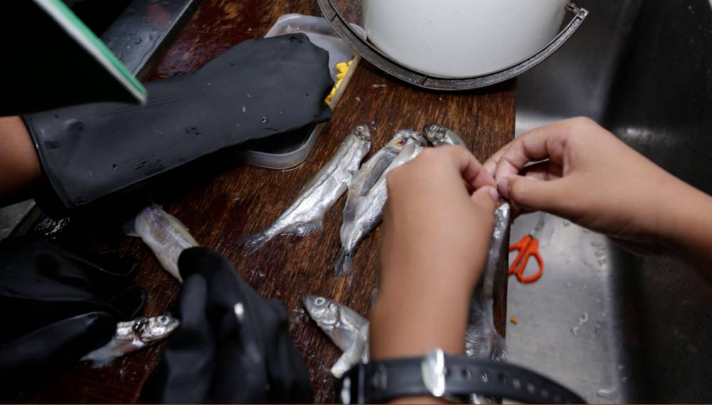 Meals Fit For The Kings