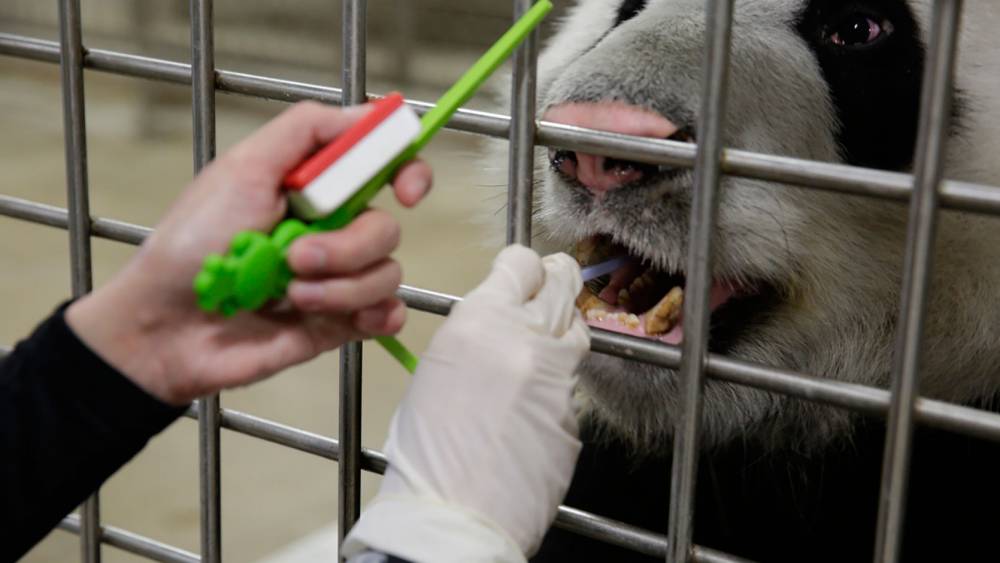 Routine care and checks