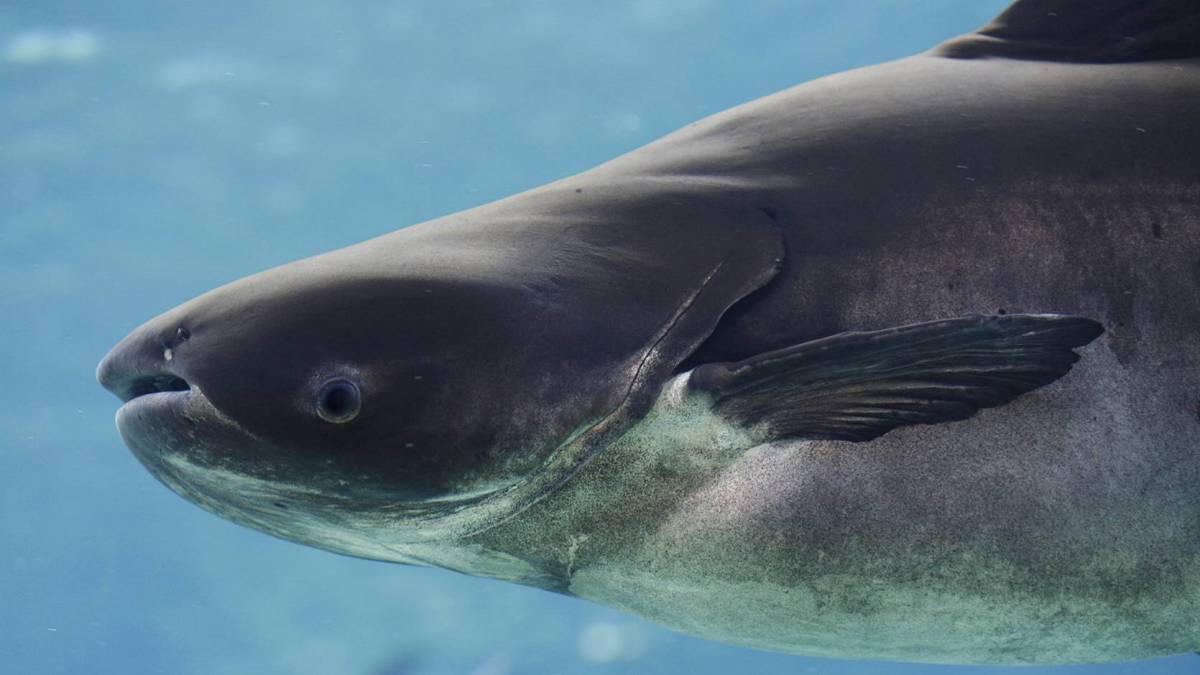 So, how long have you been working at River Wonders?