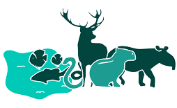 Tapirs, capybaras, deer