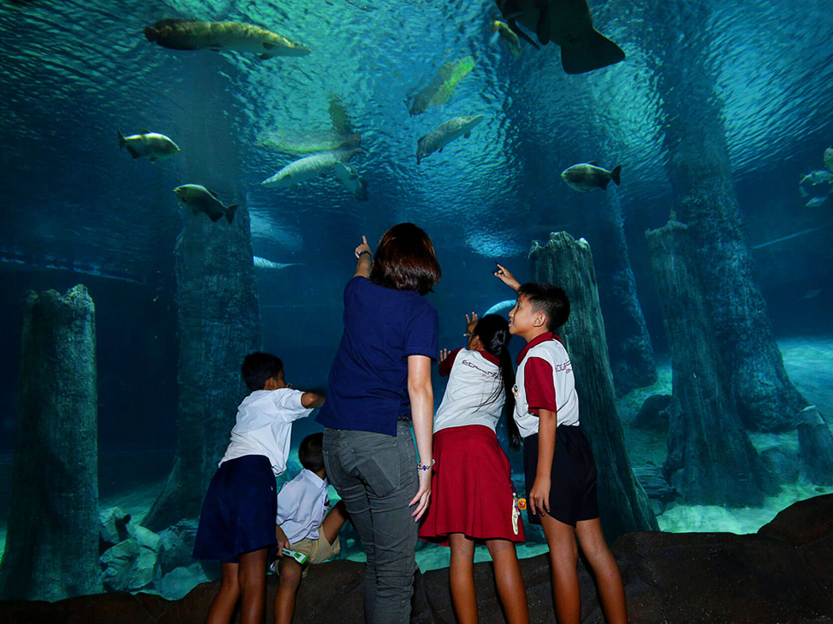 kids pointing to fishes
