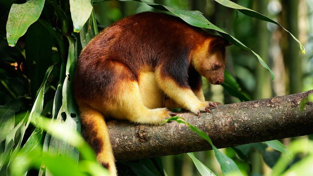 Halved in half a century