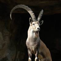 Great Rift Valley of Ethiopia