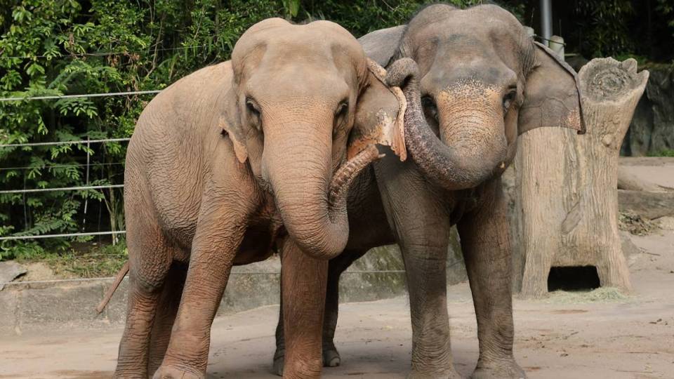 தமிழ்மொழி பயிற்சி புத்தகங்கள்
