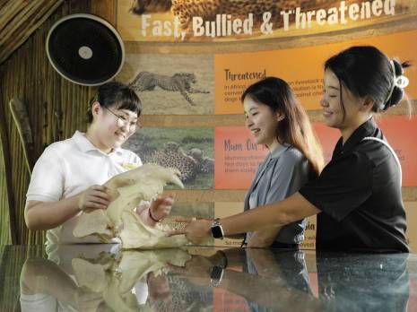 a volunteer showing a skull to visitors