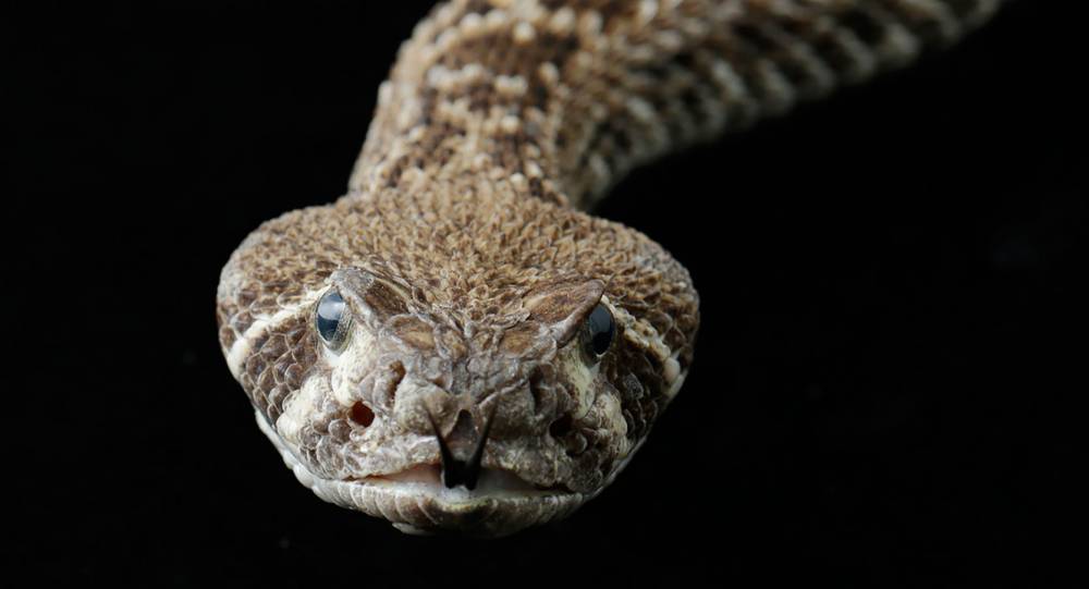 Interactive experiences