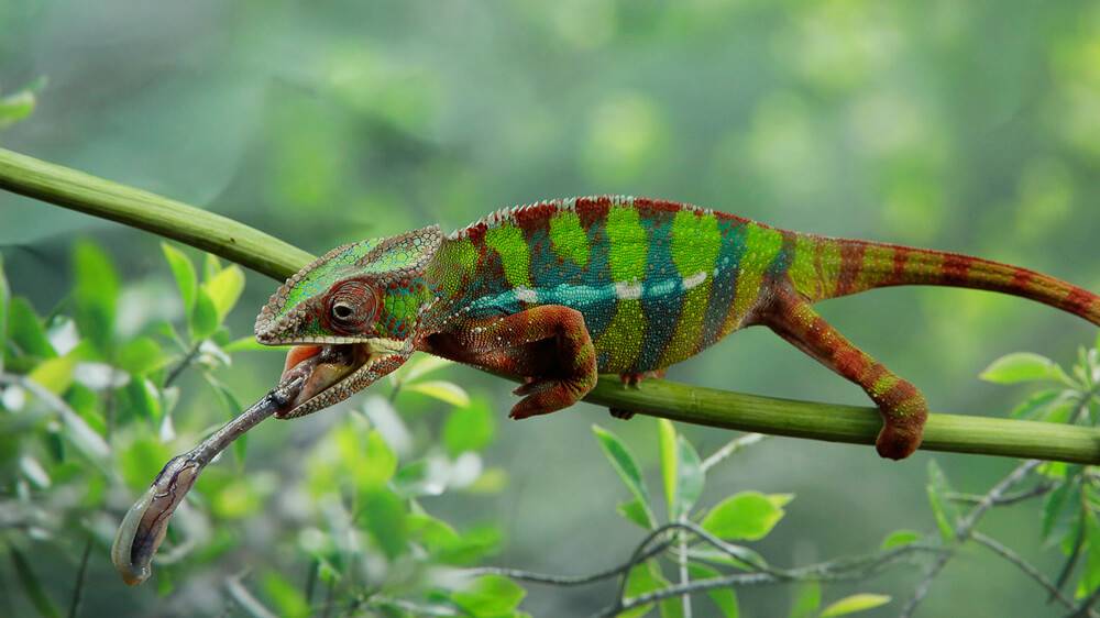 Up-close and personal