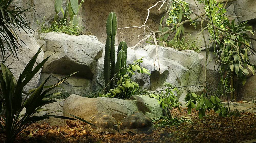 Replicating natural habitats