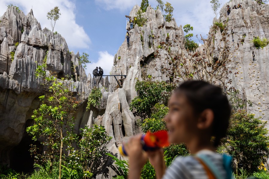 The Karsts, Rainforest Wild Adventure WEST