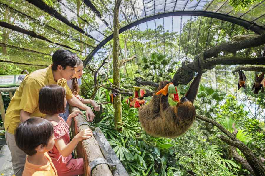Fragile Forest, Singapore Zoo