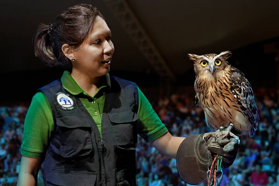 Creatures of the Night presentation, Night Safari