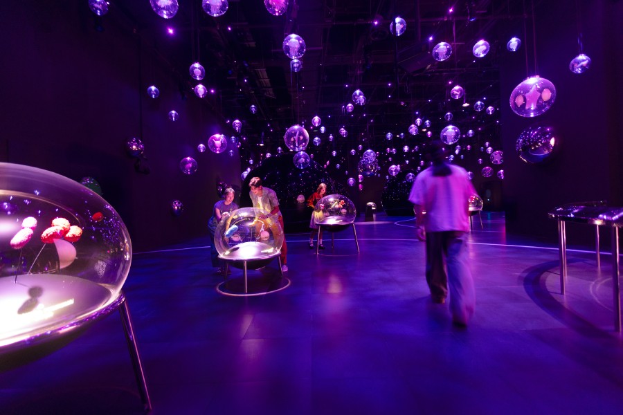 Drift through the Micro Worlds, where illuminated orbs reveal the hidden universe of microscopic life — each one waiting to be explored up close.