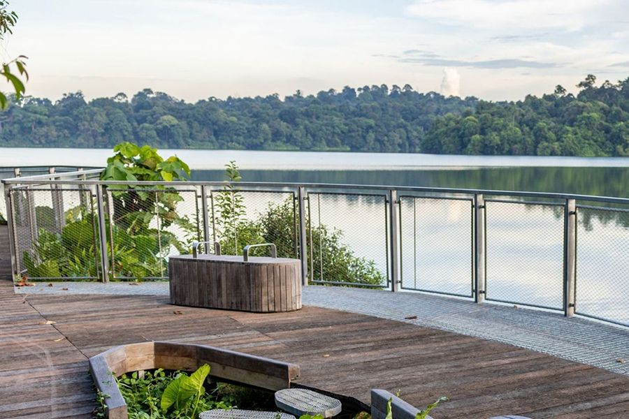 Scenic 3.3km Mandai Boardwalk along Upper Seletar Reservoir, Singapore