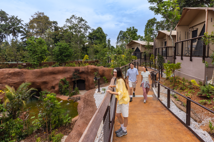Glamping tents at Glamping in the Wild – Crocodile Lodge
