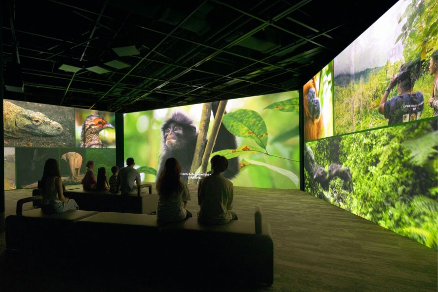 Mandai Gallery screening
