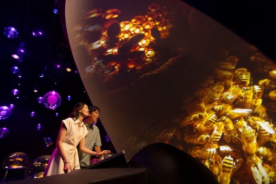 Step into the unseen world of tiny life at Micro Worlds, Exploria