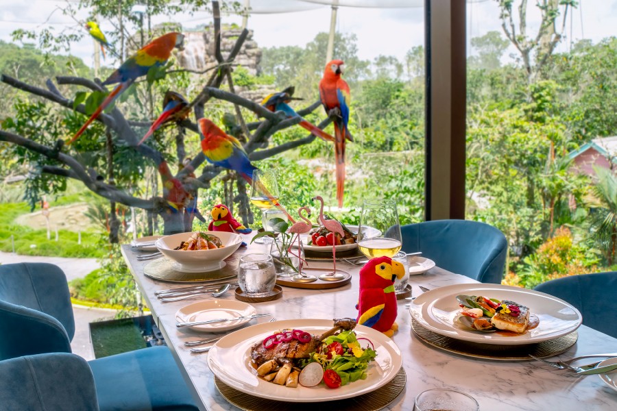 Lunch in the Wild: A curated 4-course lunch overlooking Crimson Wetlands at Bird Paradise