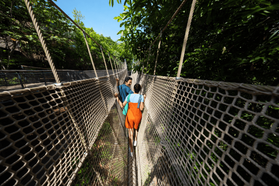 Rainforest Wild Adventure WEST