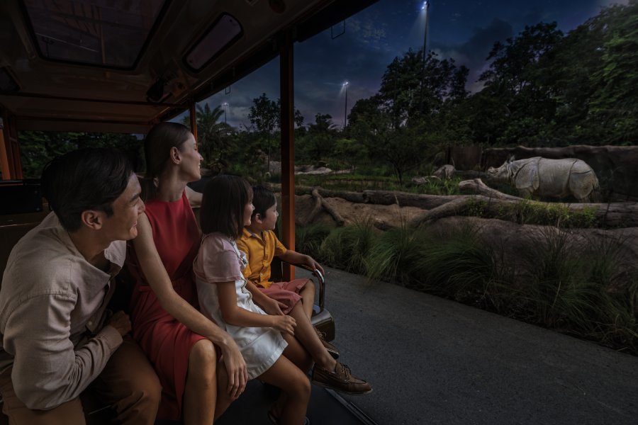 Safari Tram Adventure