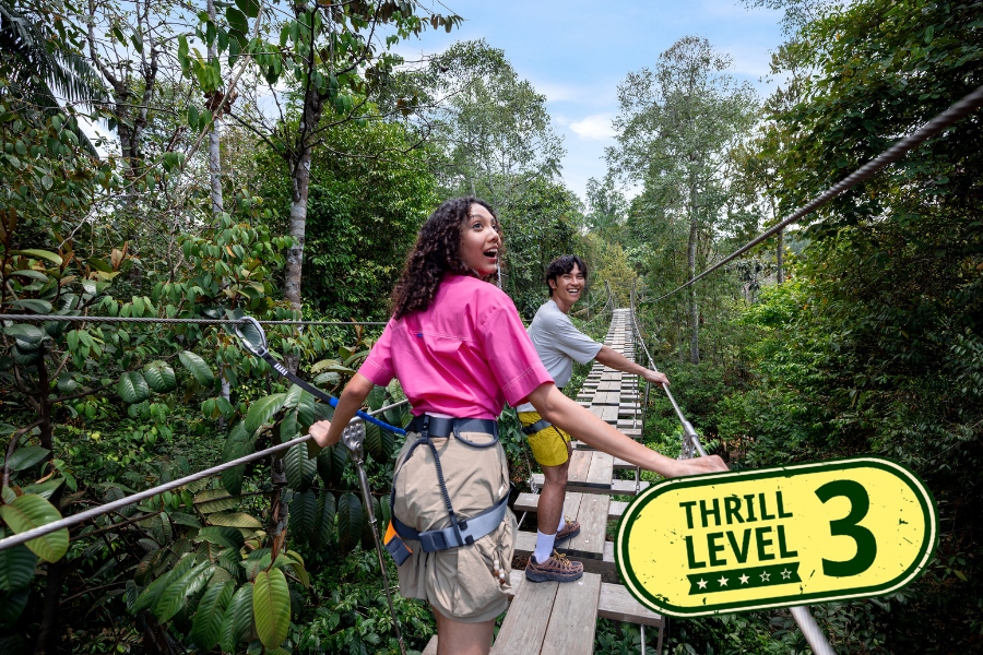Treetop Traverse, Rainforest Wild Adventure