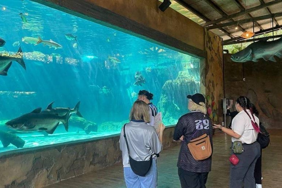 River Discovery Tour, River Wonders