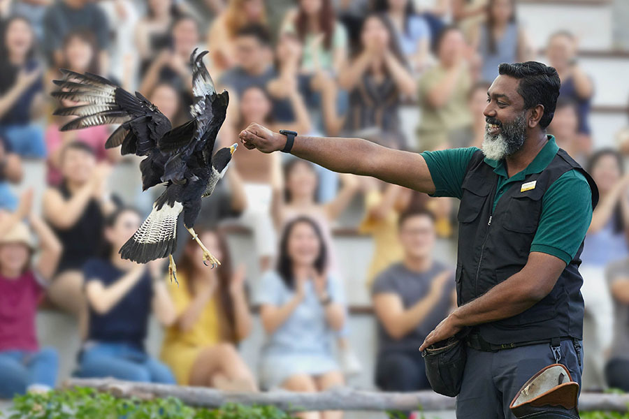 Predators on Wings, Bird Paradise
