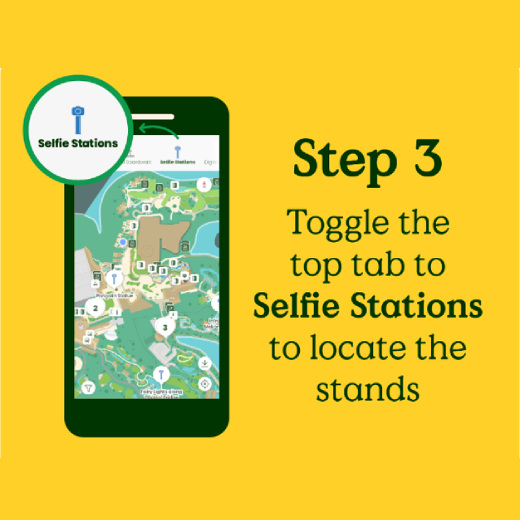Download App to Wayfind Selfie Station - Step 3