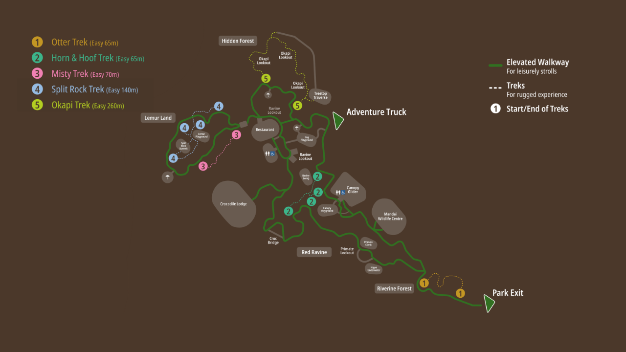 Rainforest Wild Adventure EAST Treks